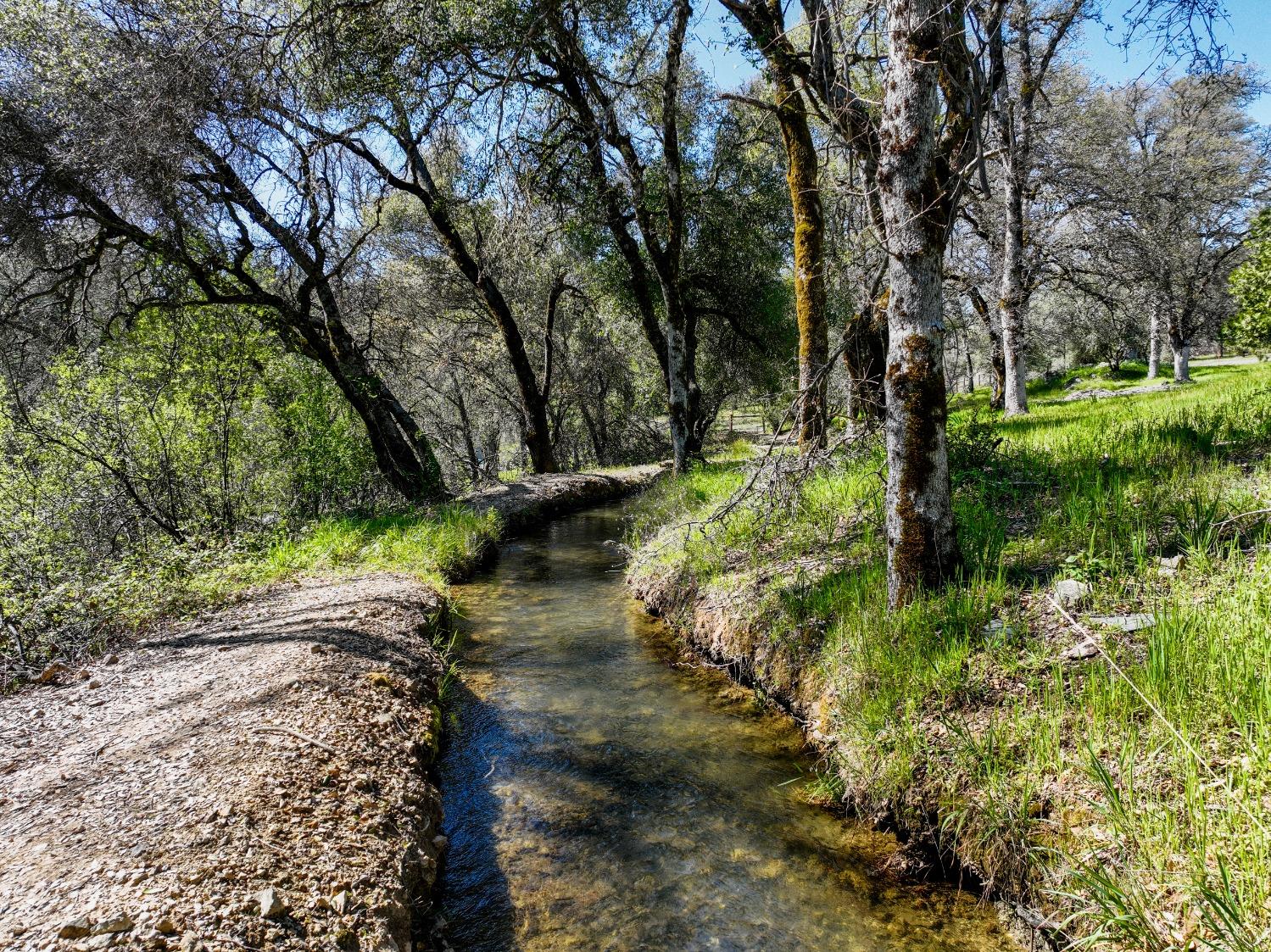 Newtown Road, Nevada City, California image 10