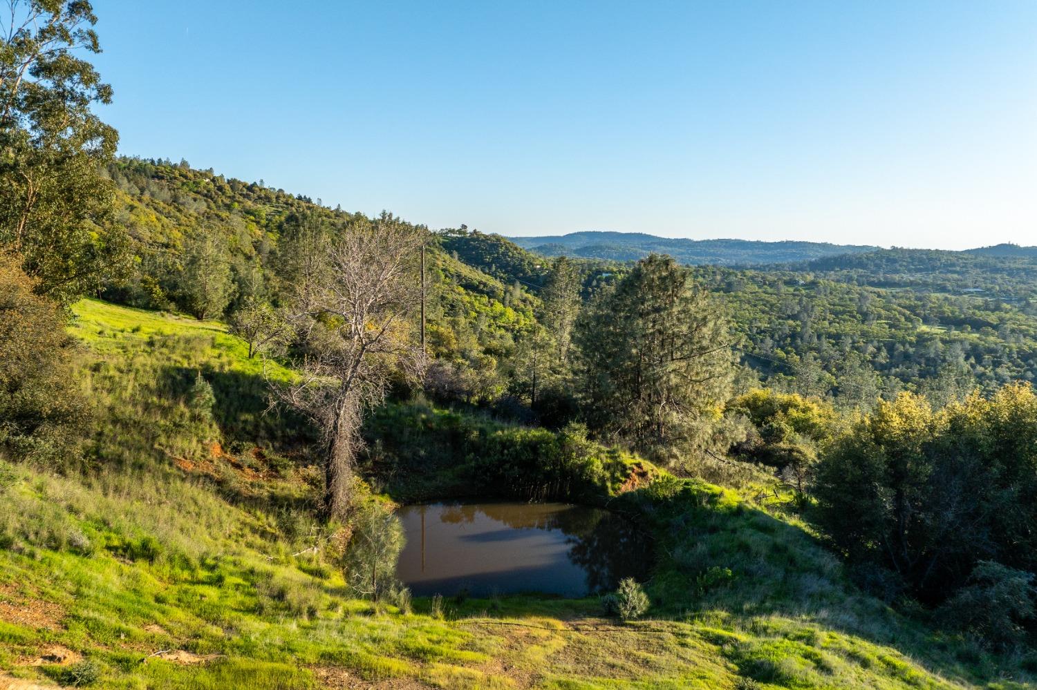 Detail Gallery Image 5 of 11 For 18678 Kentucky Ravine Rd, Nevada City,  CA 95959 - – Beds | – Baths