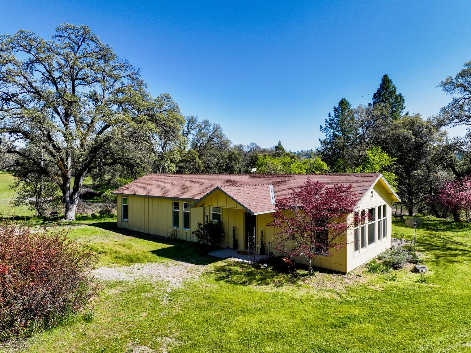 Newtown Road, Nevada City, California image 3