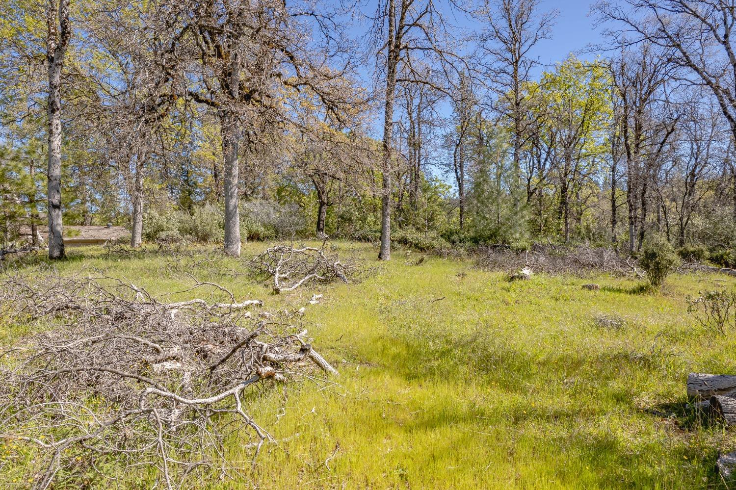 Mckeon Ponderosa Way, Foresthill, California image 9