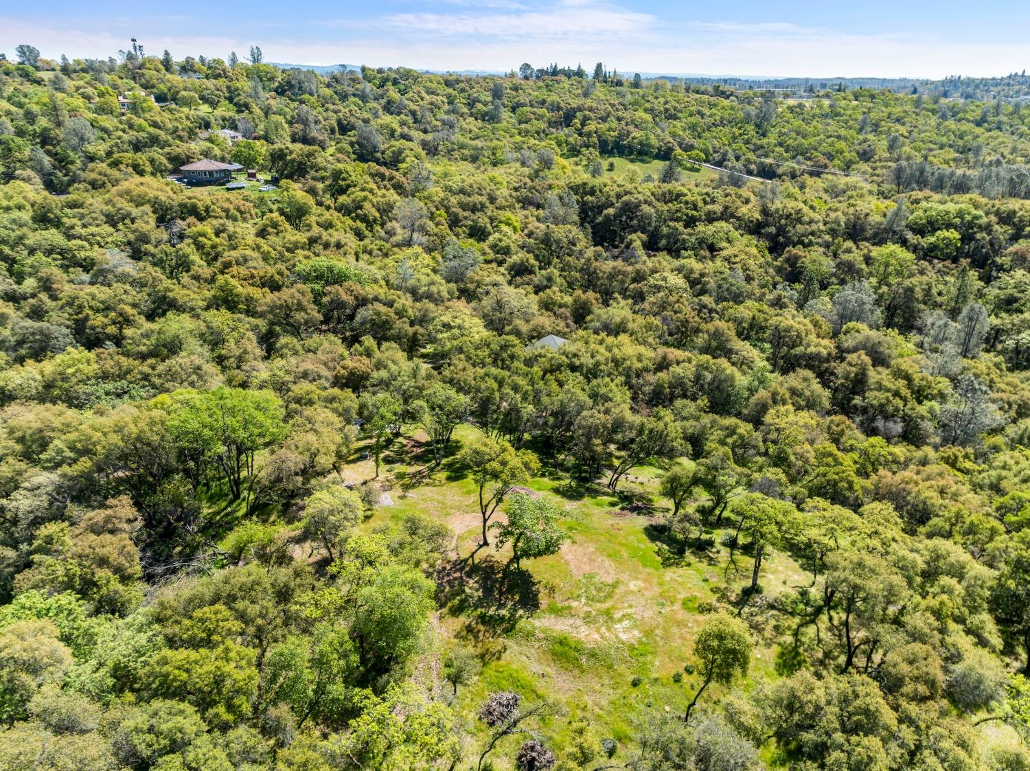 Gray Pine Way, Auburn, California image 35