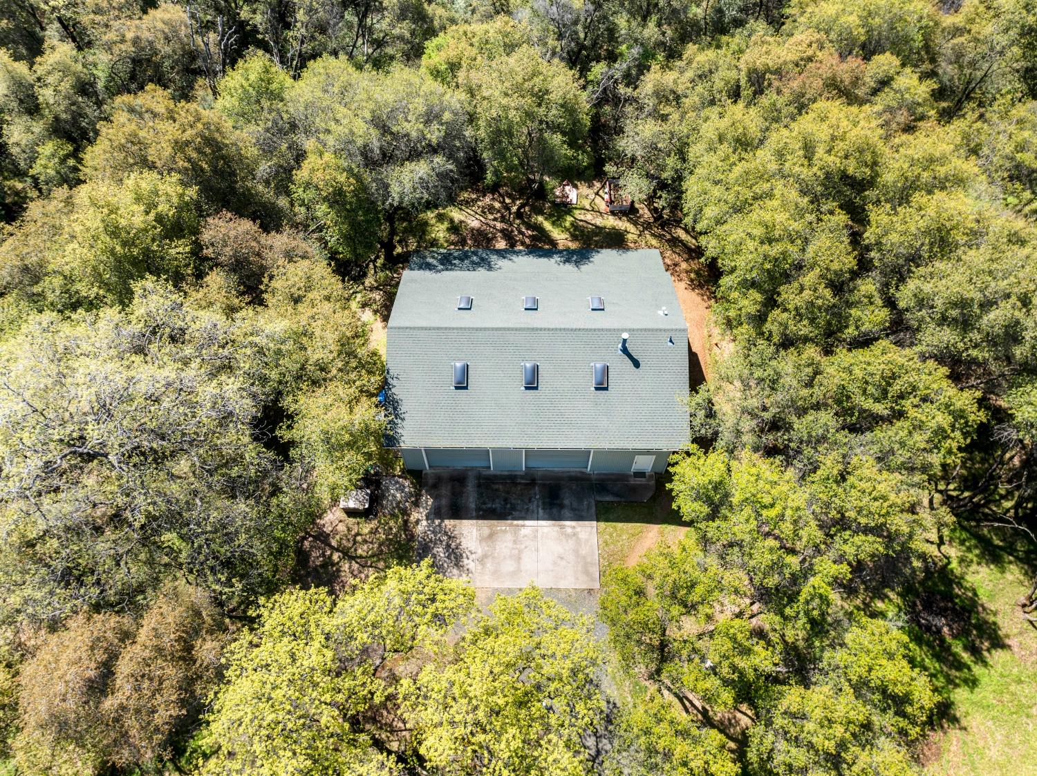 Gray Pine Way, Auburn, California image 27