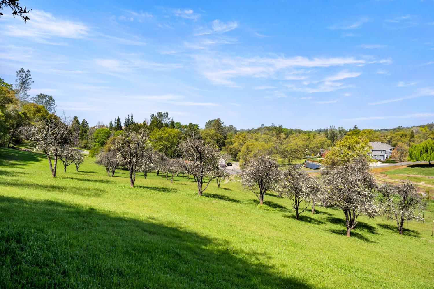 Gray Pine Way, Auburn, California image 38