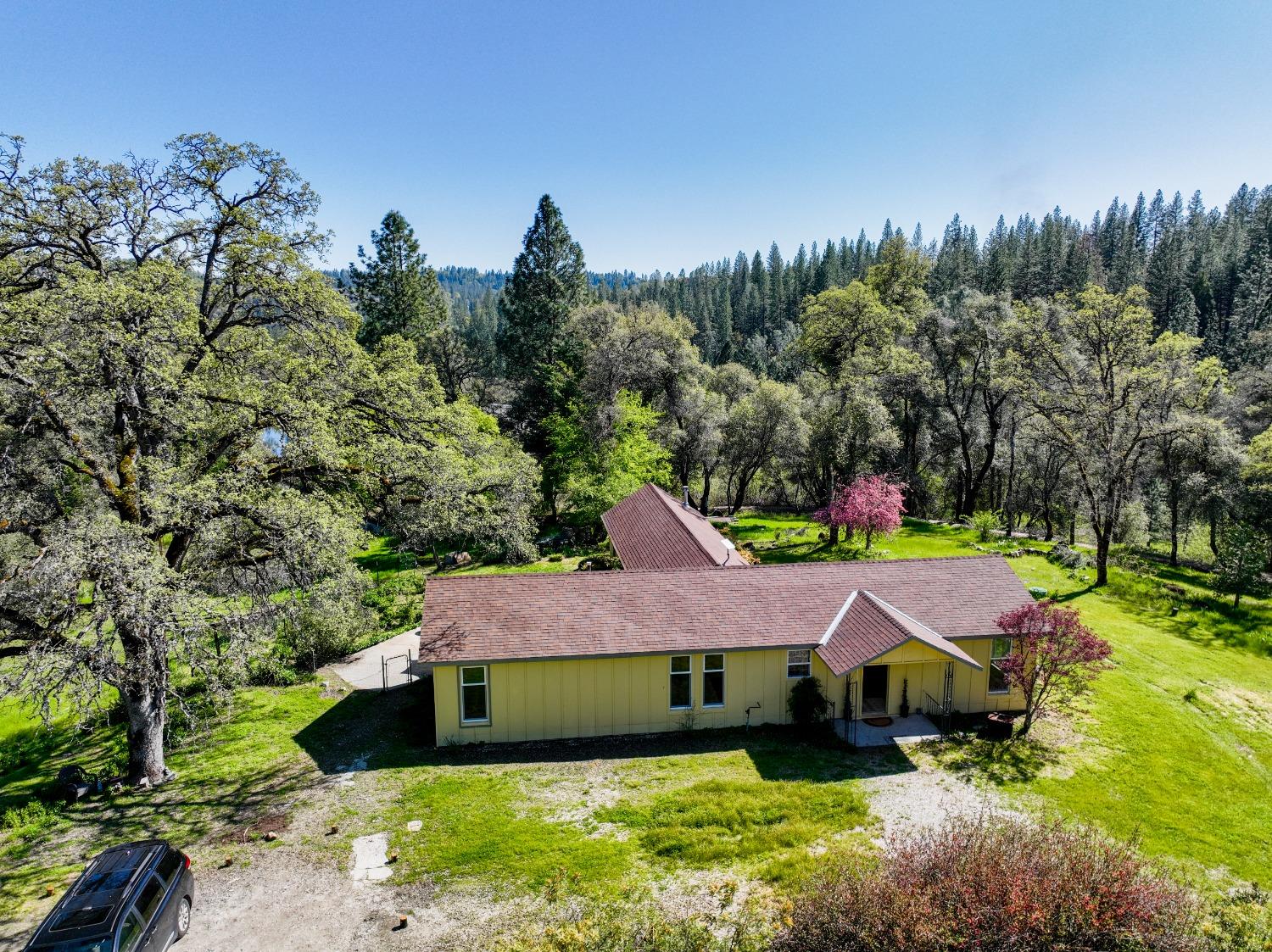 Newtown Road, Nevada City, California image 4