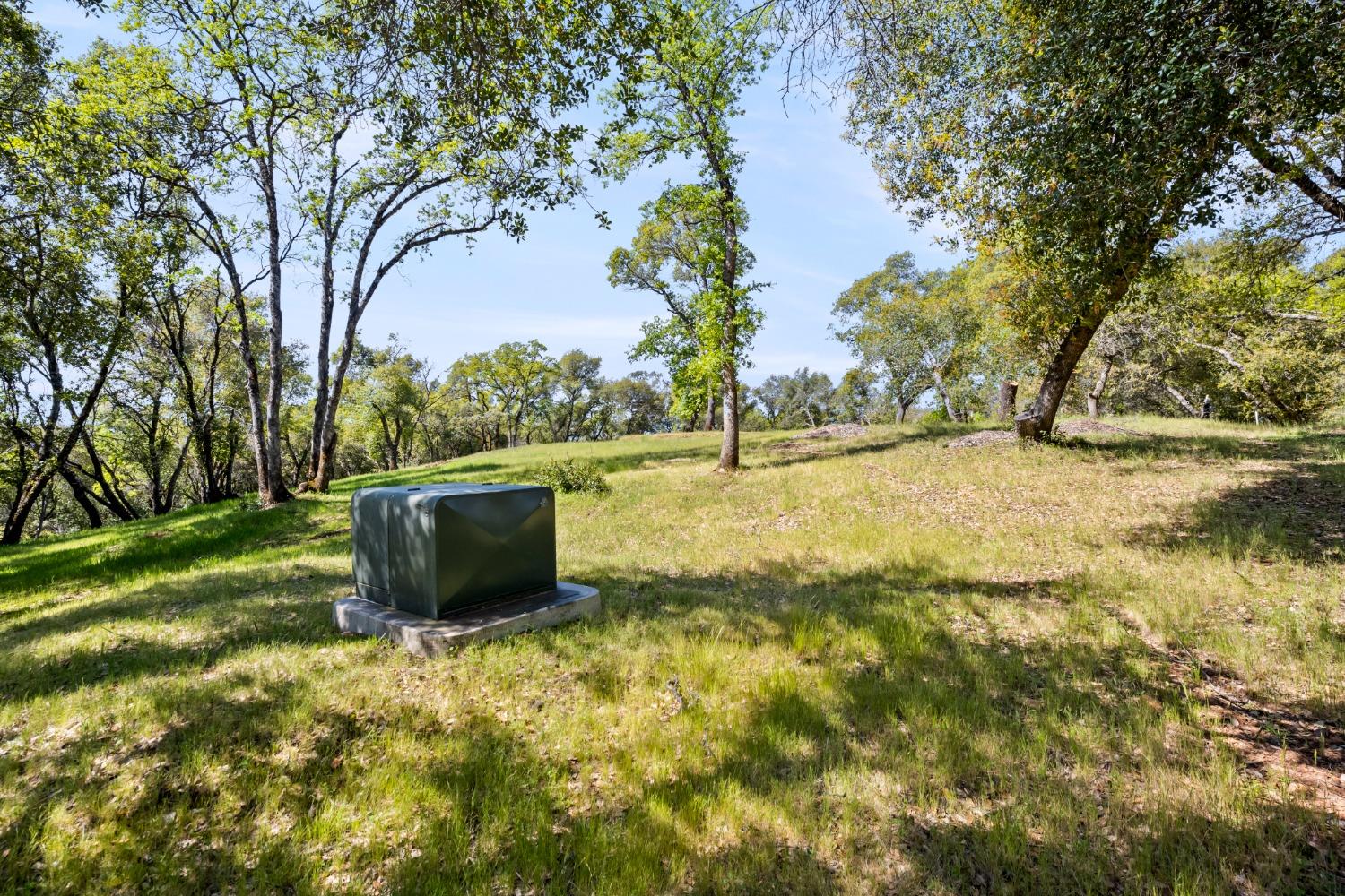 Gray Pine Way, Auburn, California image 19