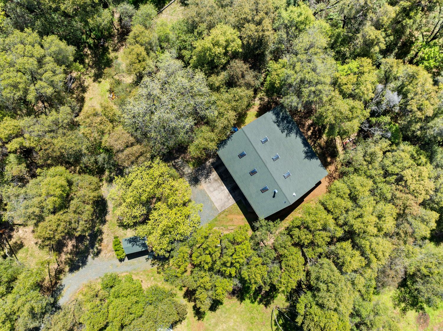 Gray Pine Way, Auburn, California image 26