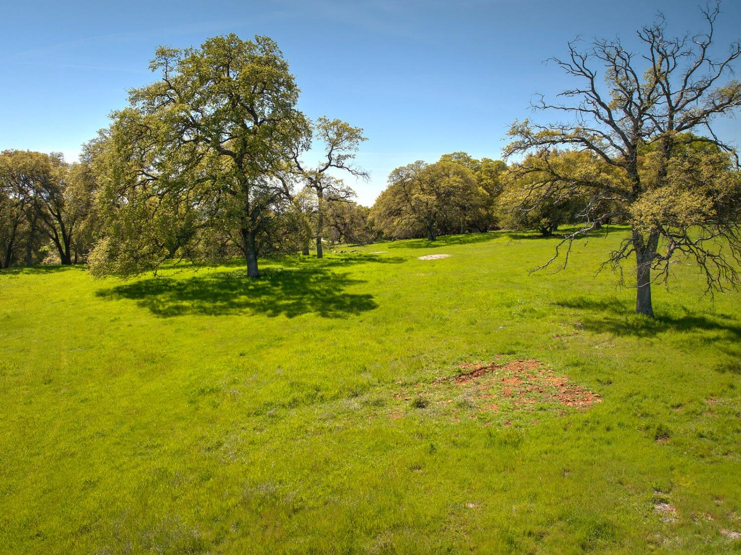 Bitney Springs Road, Nevada City, California image 16