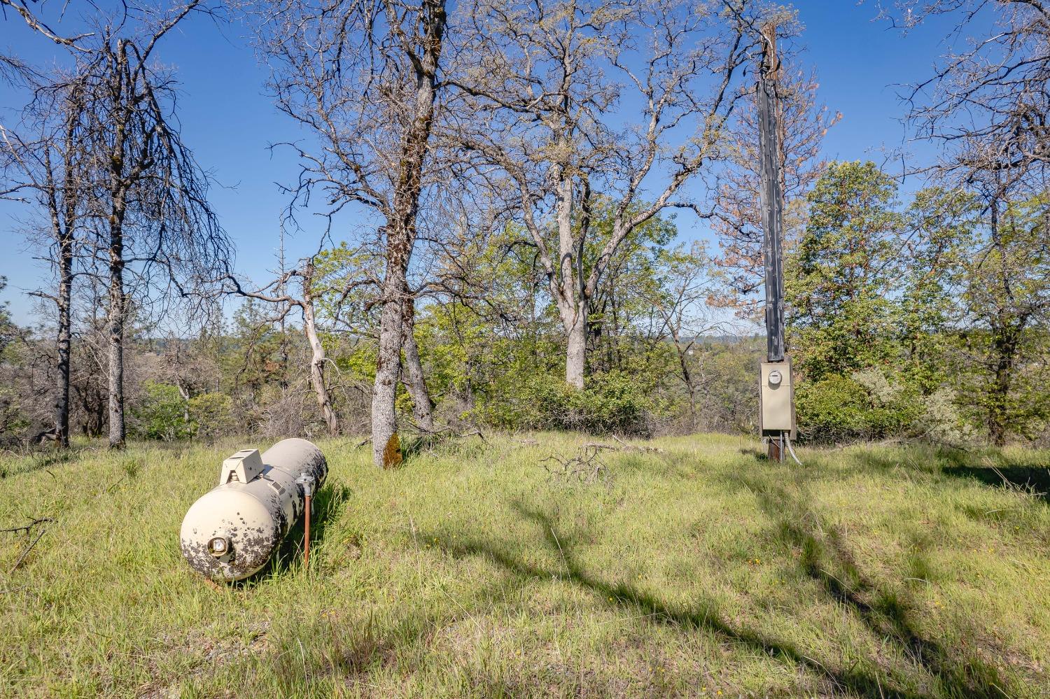 Mckeon Ponderosa Way, Foresthill, California image 7