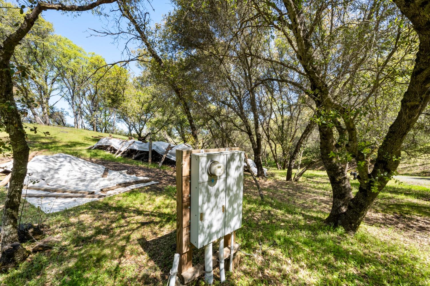 Gray Pine Way, Auburn, California image 18