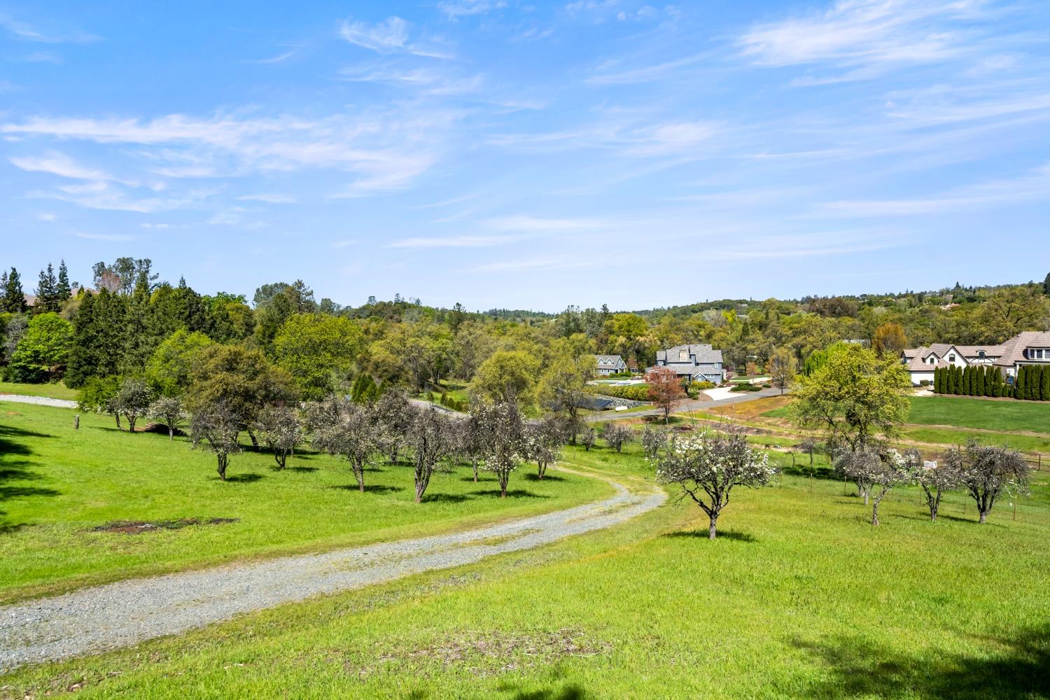 Gray Pine Way, Auburn, California image 37