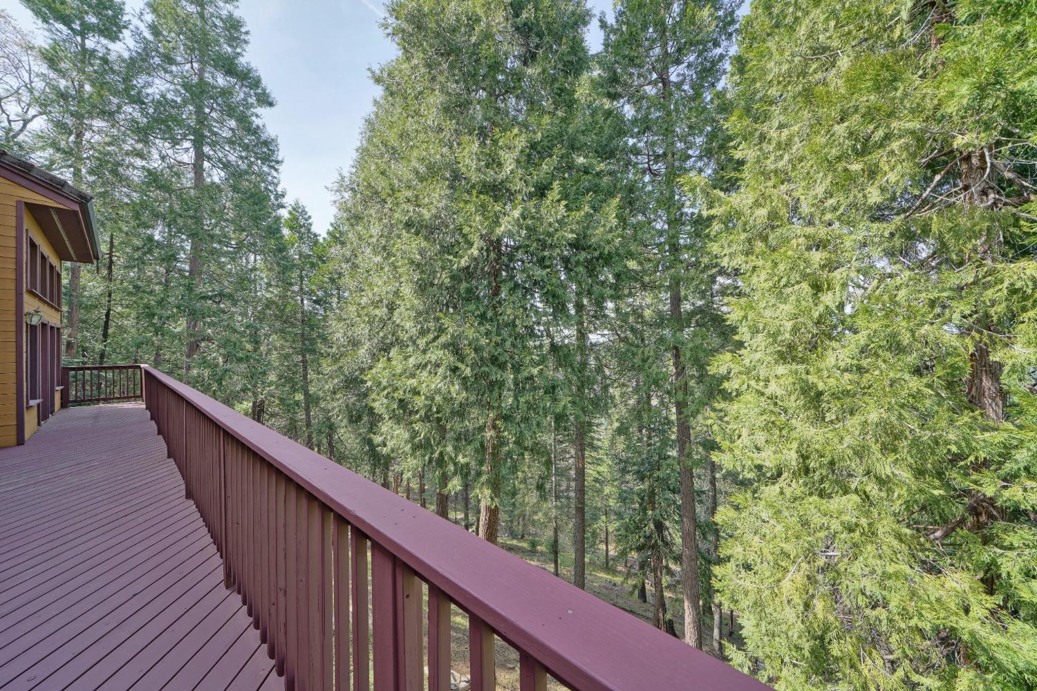 Detail Gallery Image 15 of 57 For 5041 Debron Ct, Pollock Pines,  CA 95726 - 4 Beds | 3/1 Baths