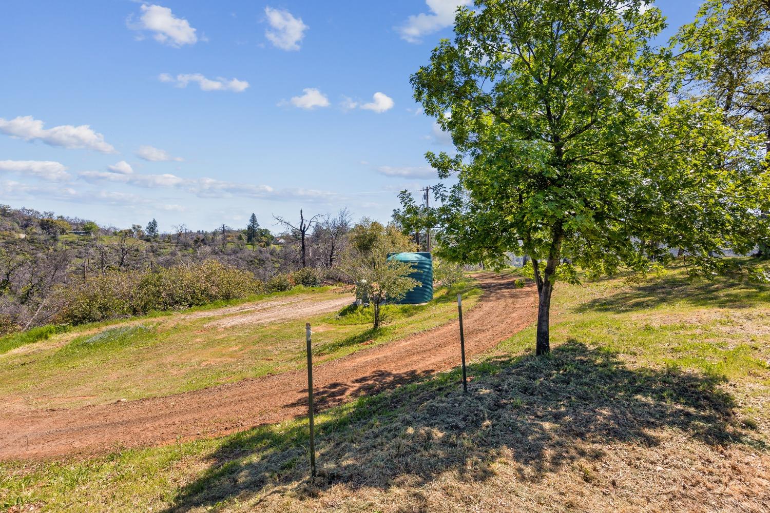 Detail Gallery Image 43 of 52 For 61 Lizard Ln, Berry Creek,  CA 95916 - – Beds | – Baths