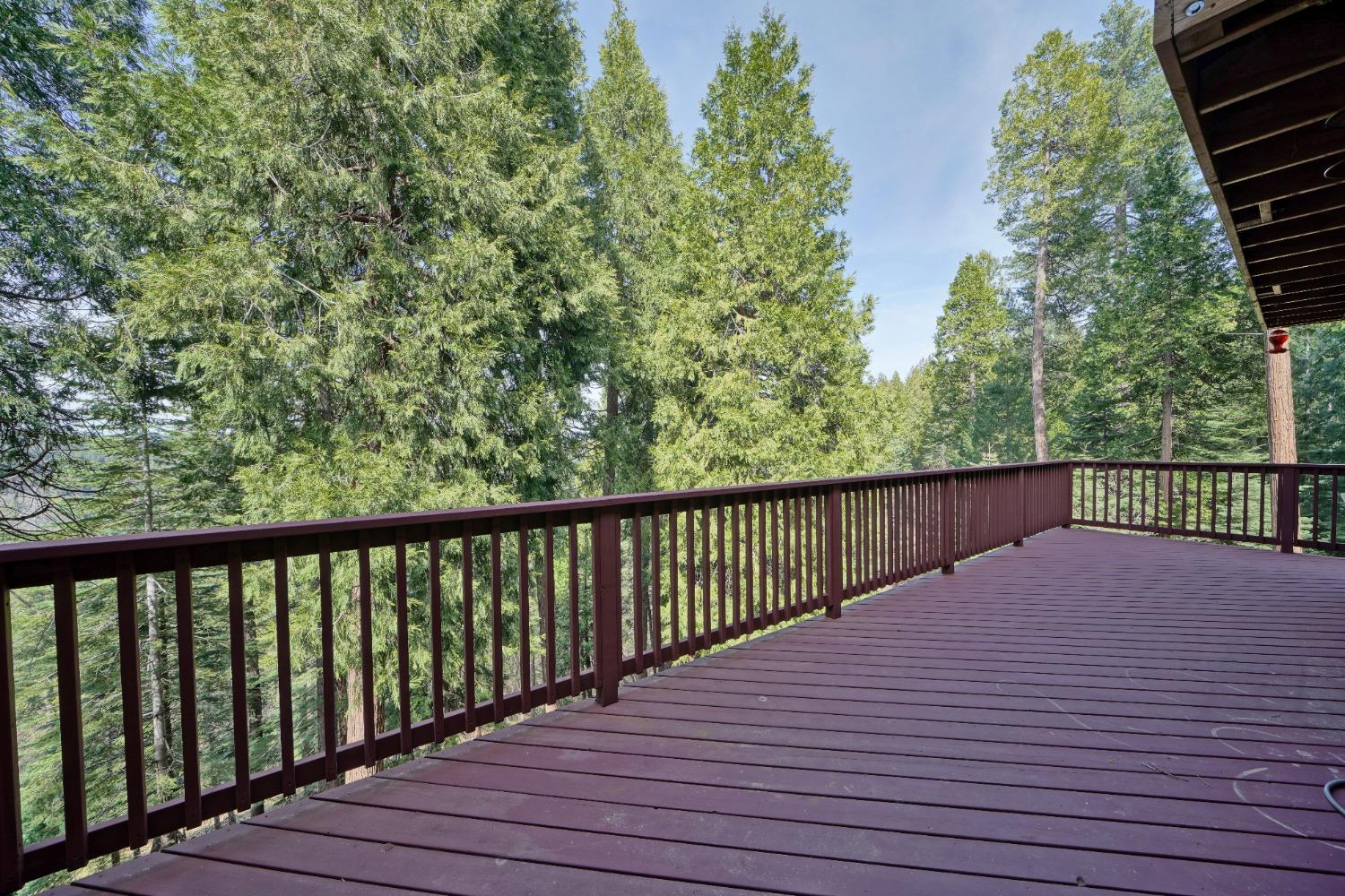 Detail Gallery Image 31 of 57 For 5041 Debron Ct, Pollock Pines,  CA 95726 - 4 Beds | 3/1 Baths