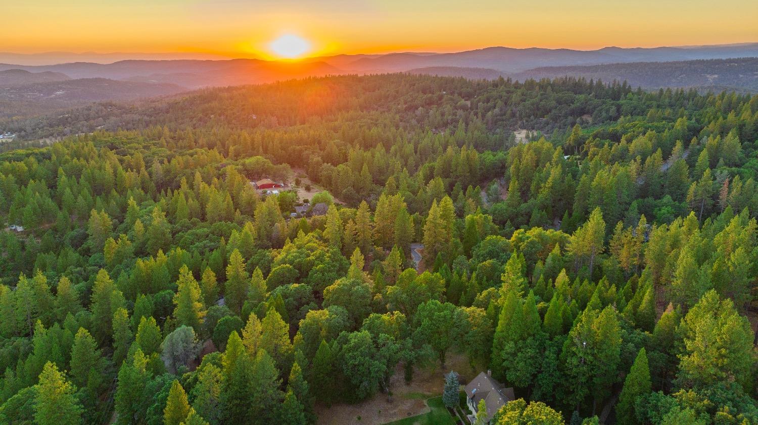 Detail Gallery Image 16 of 18 For 11094 Cement Hill Rd, Nevada City,  CA 95959 - – Beds | – Baths