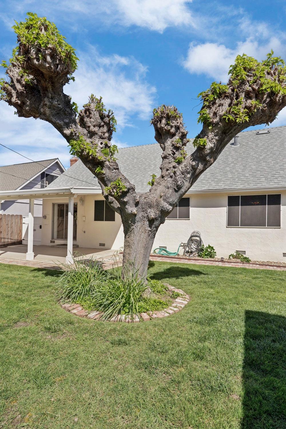 Detail Gallery Image 58 of 82 For 711 El Capitan Ave, Manteca,  CA 95337 - 4 Beds | 2 Baths