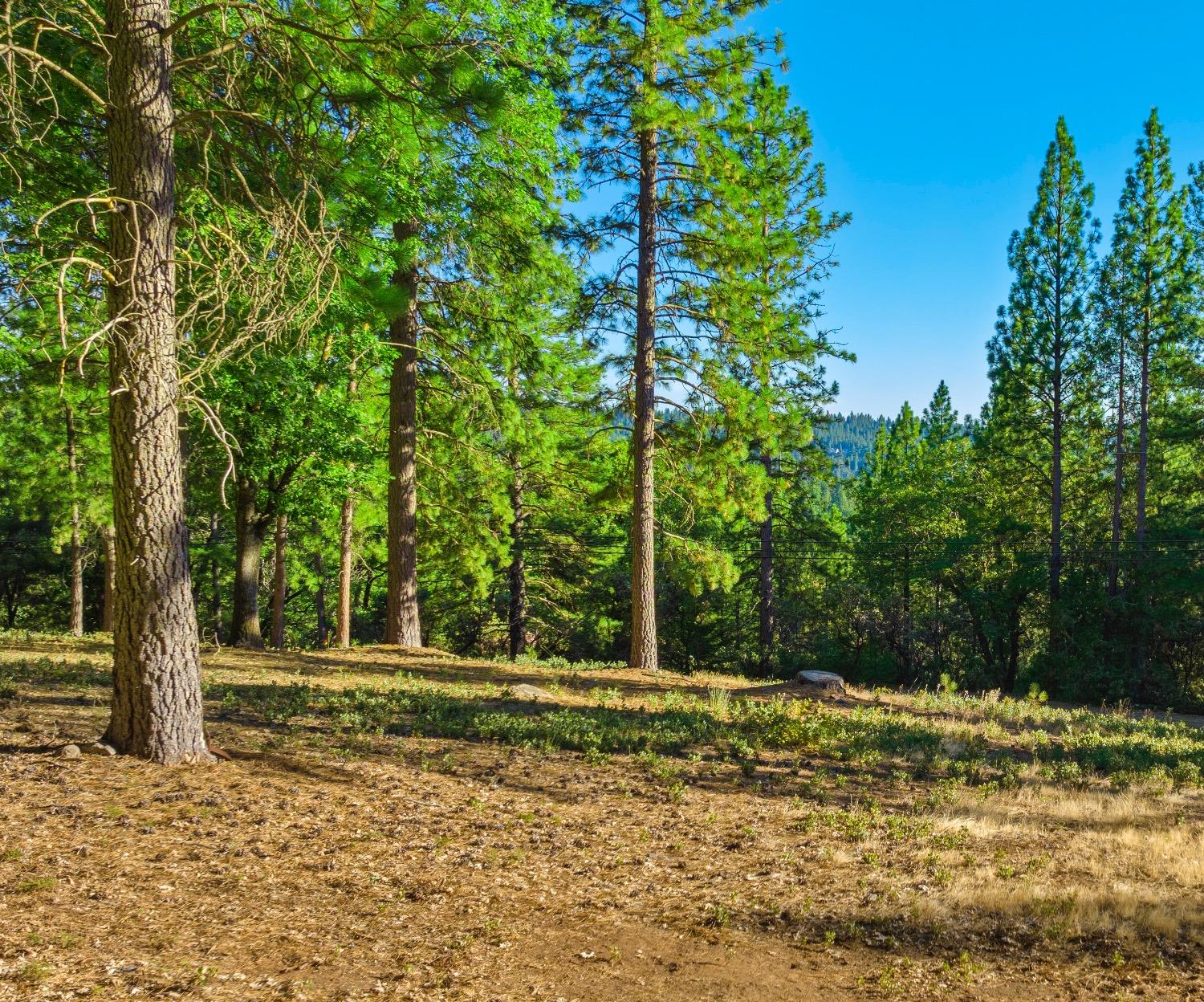 Detail Gallery Image 5 of 18 For 11094 Cement Hill Rd, Nevada City,  CA 95959 - – Beds | – Baths