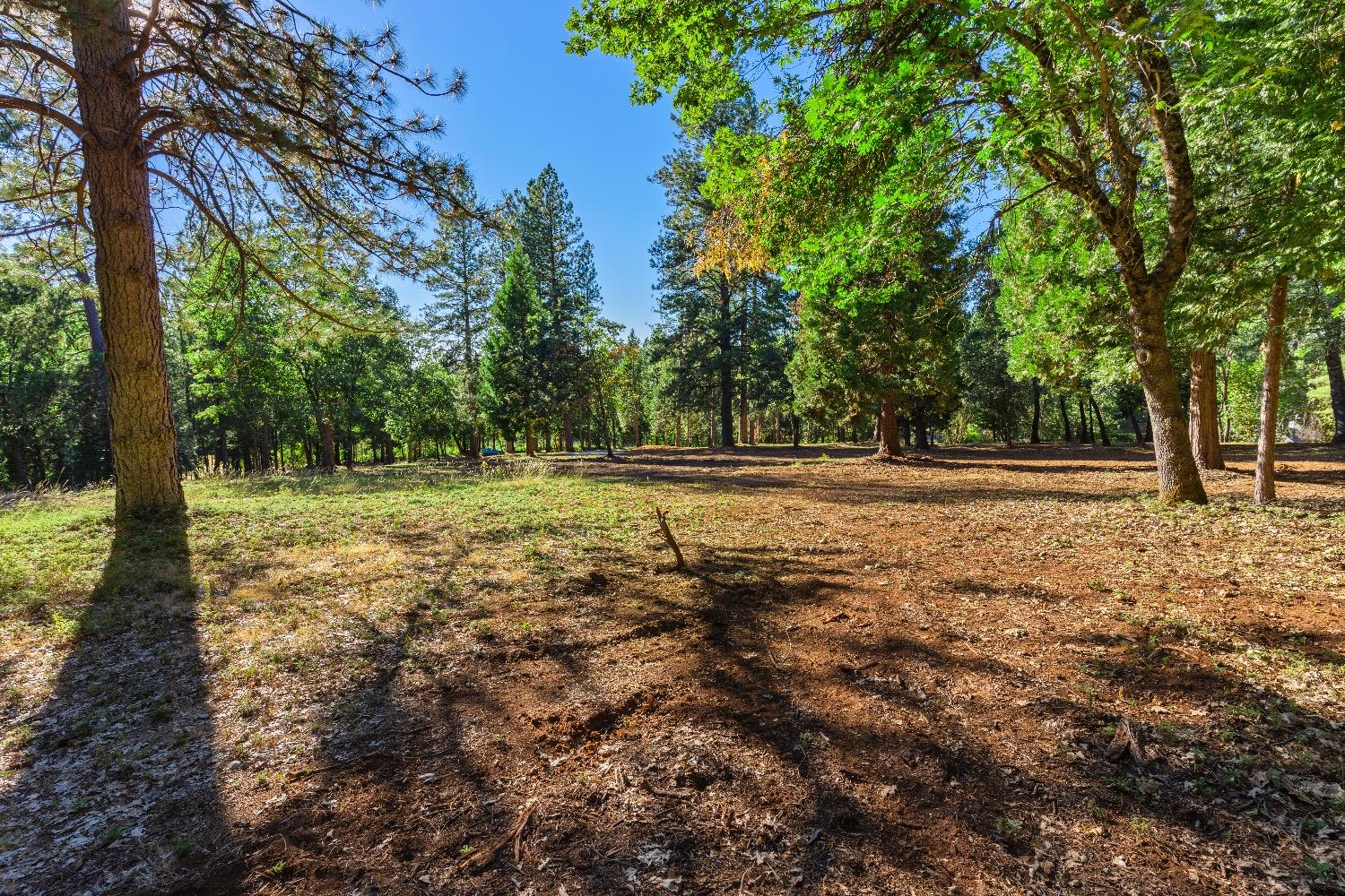 Detail Gallery Image 11 of 18 For 11094 Cement Hill Rd, Nevada City,  CA 95959 - – Beds | – Baths