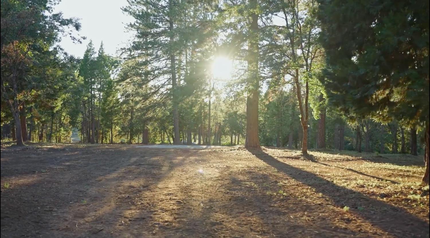 Detail Gallery Image 15 of 18 For 11094 Cement Hill Rd, Nevada City,  CA 95959 - – Beds | – Baths