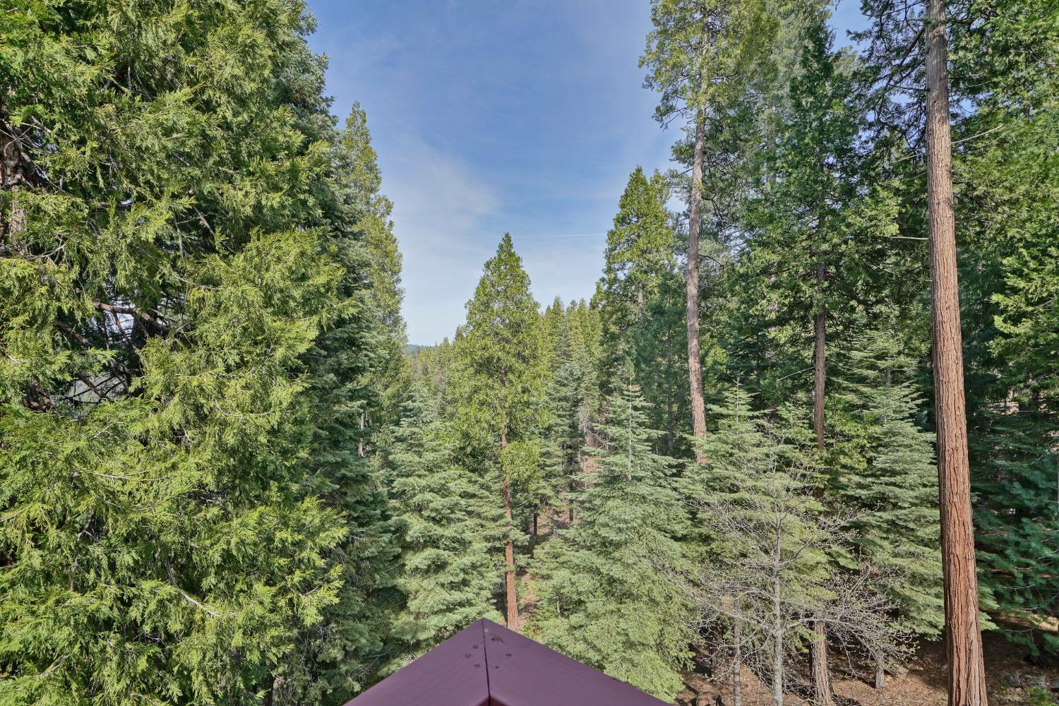 Detail Gallery Image 17 of 58 For 5041 Debron Ct, Pollock Pines,  CA 95726 - 4 Beds | 3/1 Baths