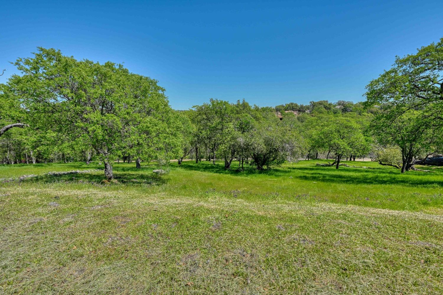 Detail Gallery Image 3 of 15 For 4926 Breese Cir, El Dorado Hills,  CA 95762 - – Beds | – Baths