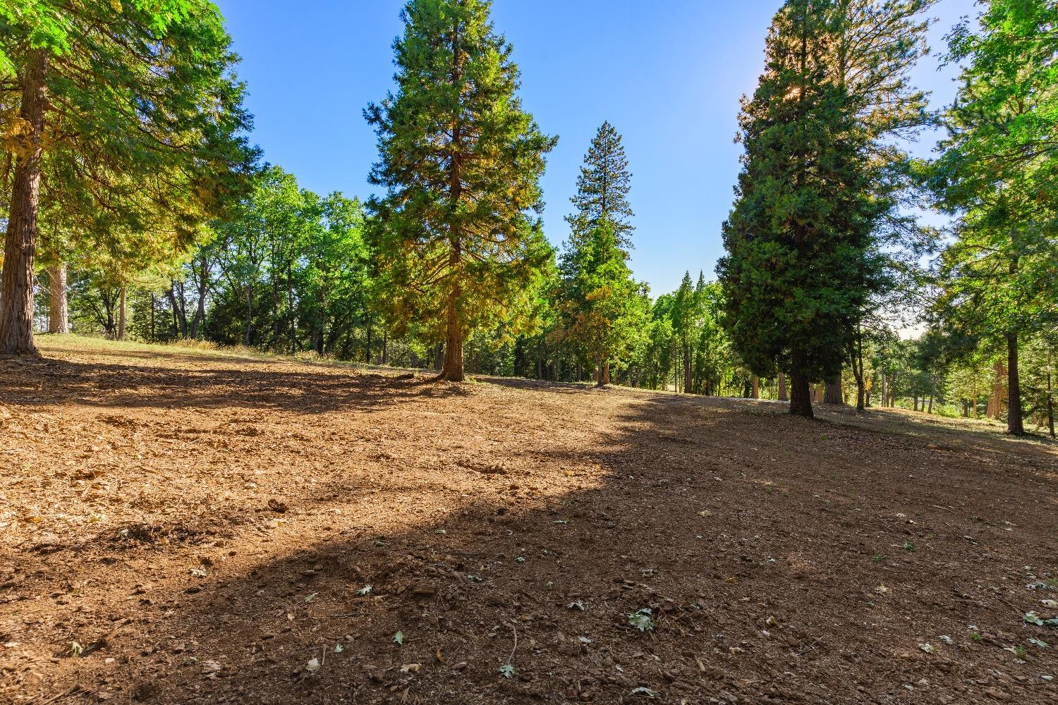 Detail Gallery Image 9 of 18 For 11094 Cement Hill Rd, Nevada City,  CA 95959 - – Beds | – Baths