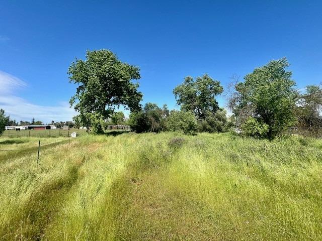 Archway Avenue, Rio Linda, California image 9