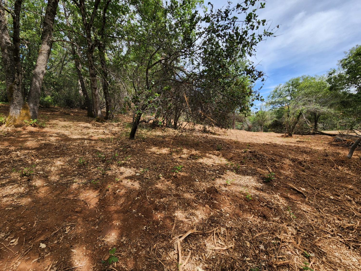 Irene Lane, Greenwood, California image 18