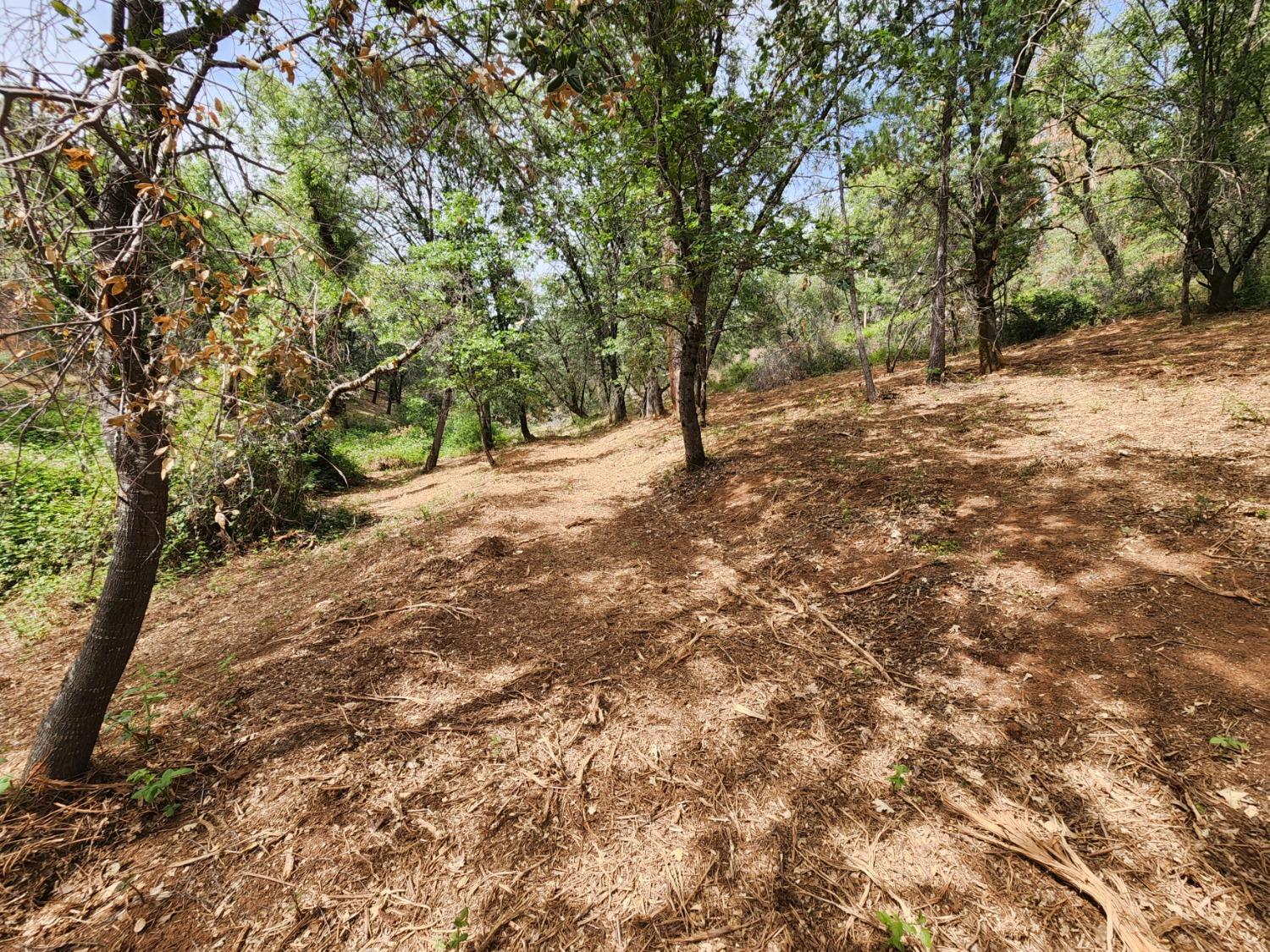 Irene Lane, Greenwood, California image 16