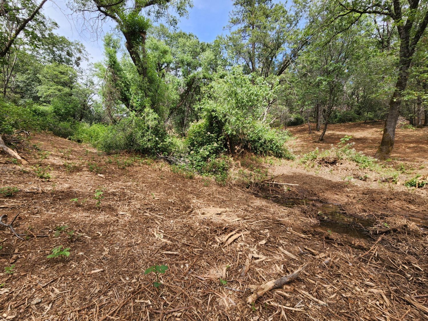 Irene Lane, Greenwood, California image 15