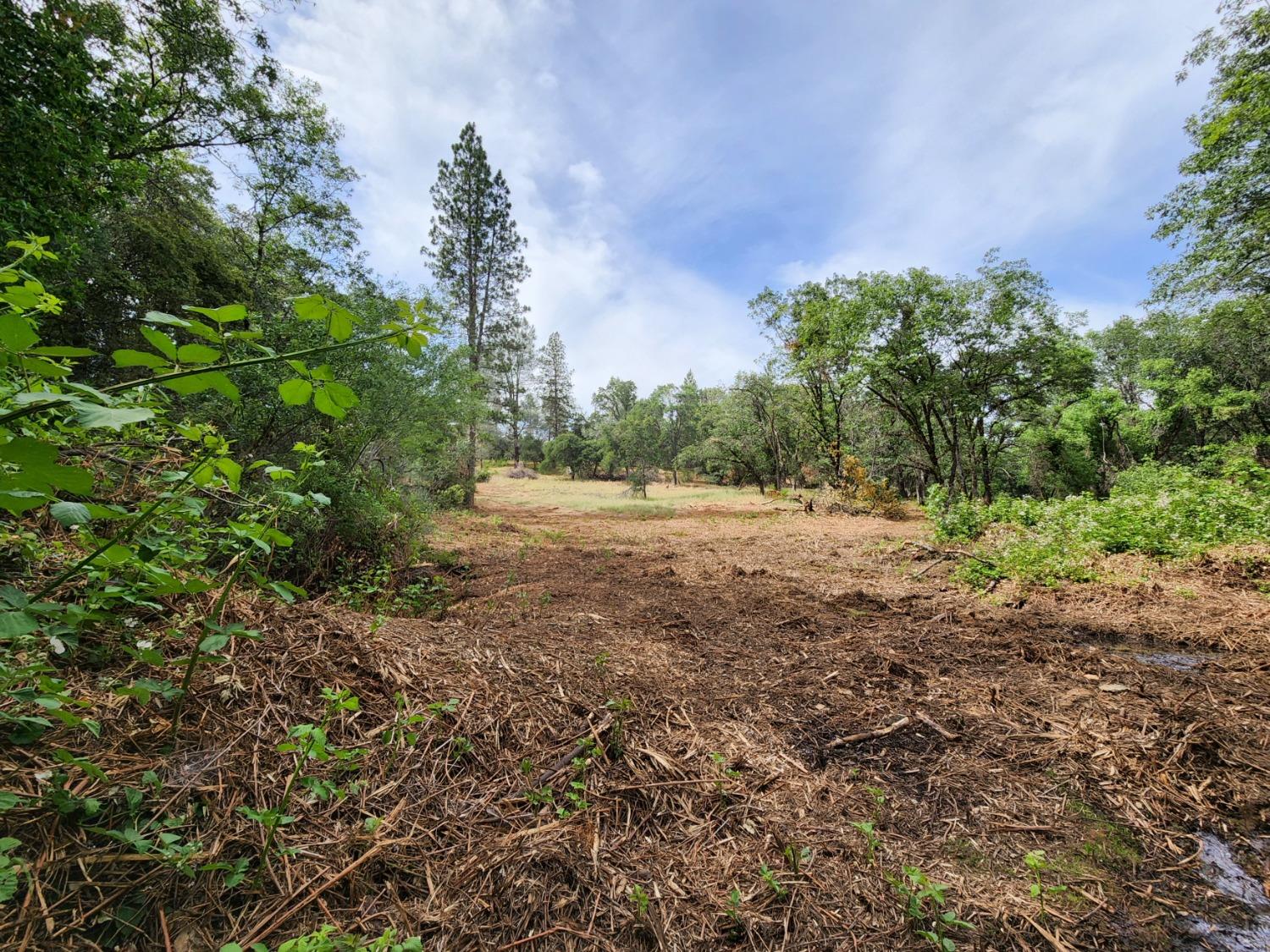 Irene Lane, Greenwood, California image 28