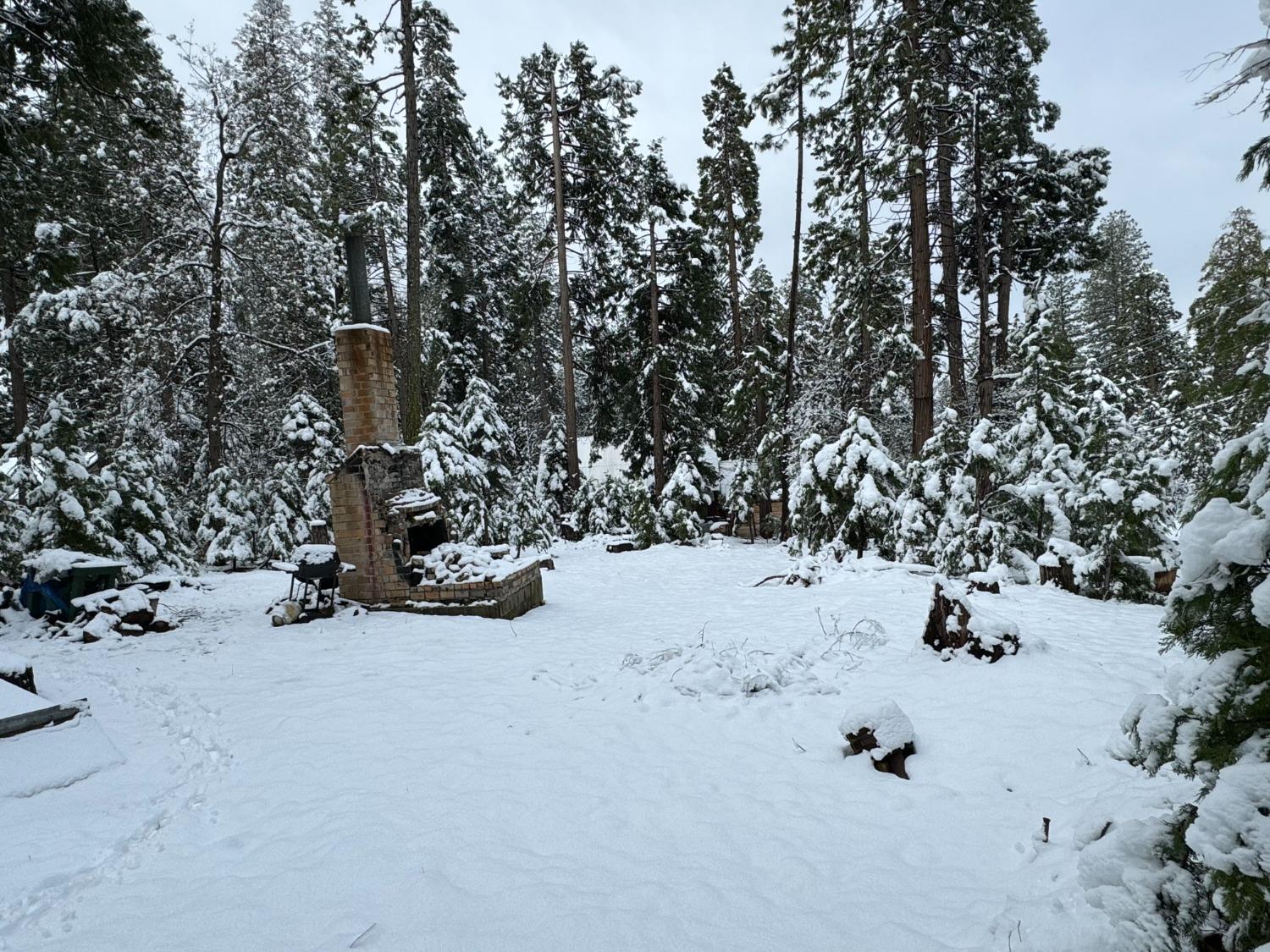 Sugar Pine Road, Twain Harte, California image 5