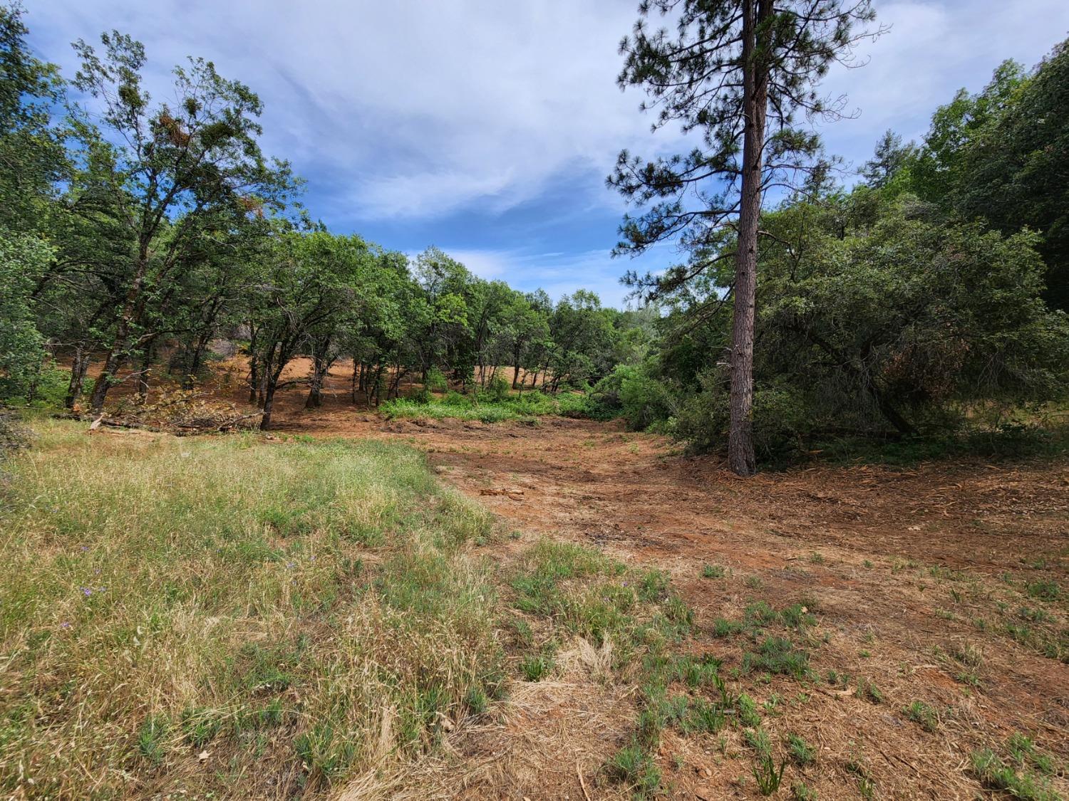 Irene Lane, Greenwood, California image 11