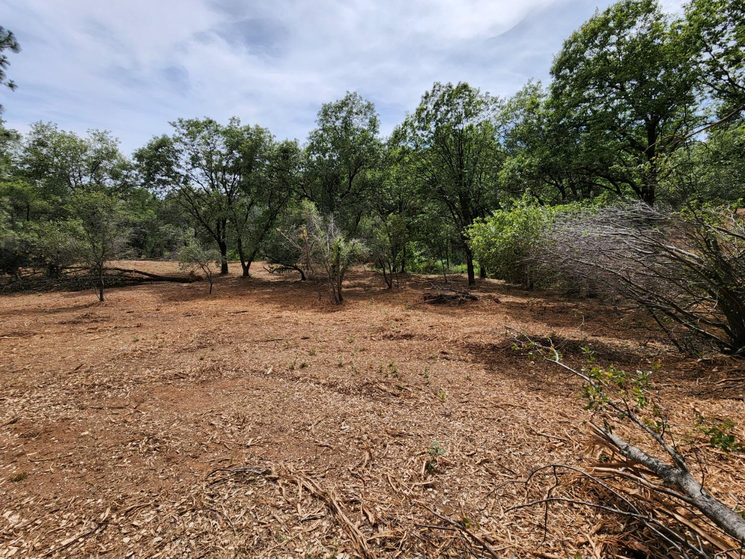 Irene Lane, Greenwood, California image 6