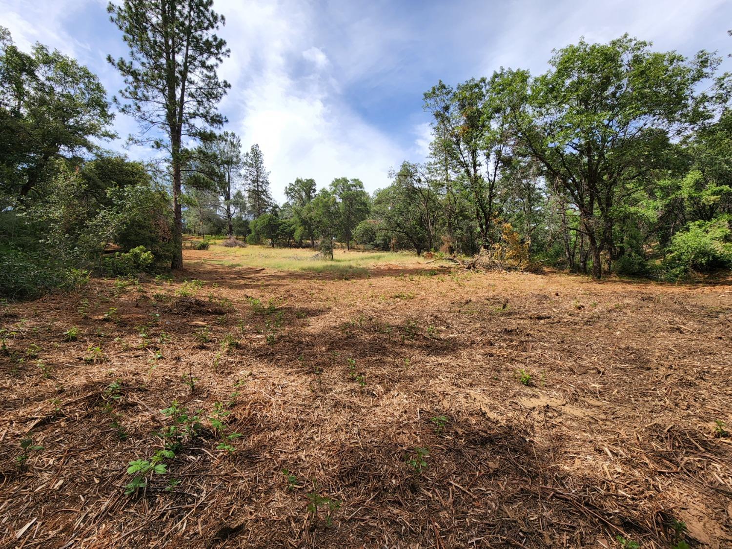 Irene Lane, Greenwood, California image 8