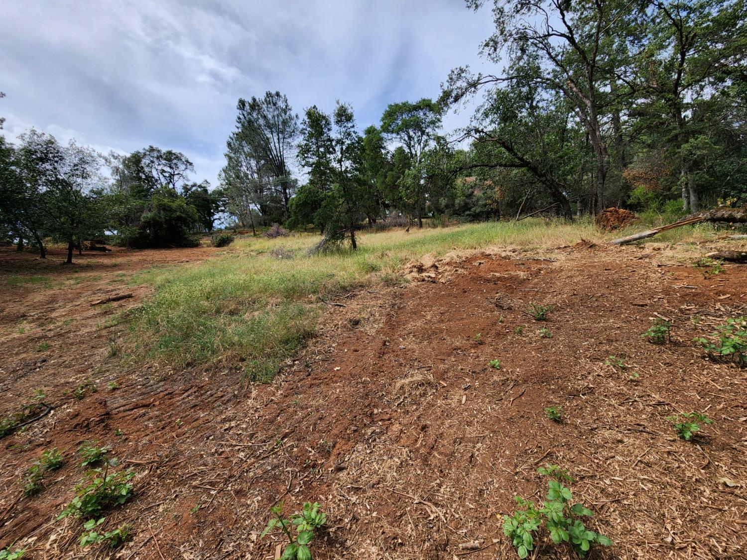 Irene Lane, Greenwood, California image 12