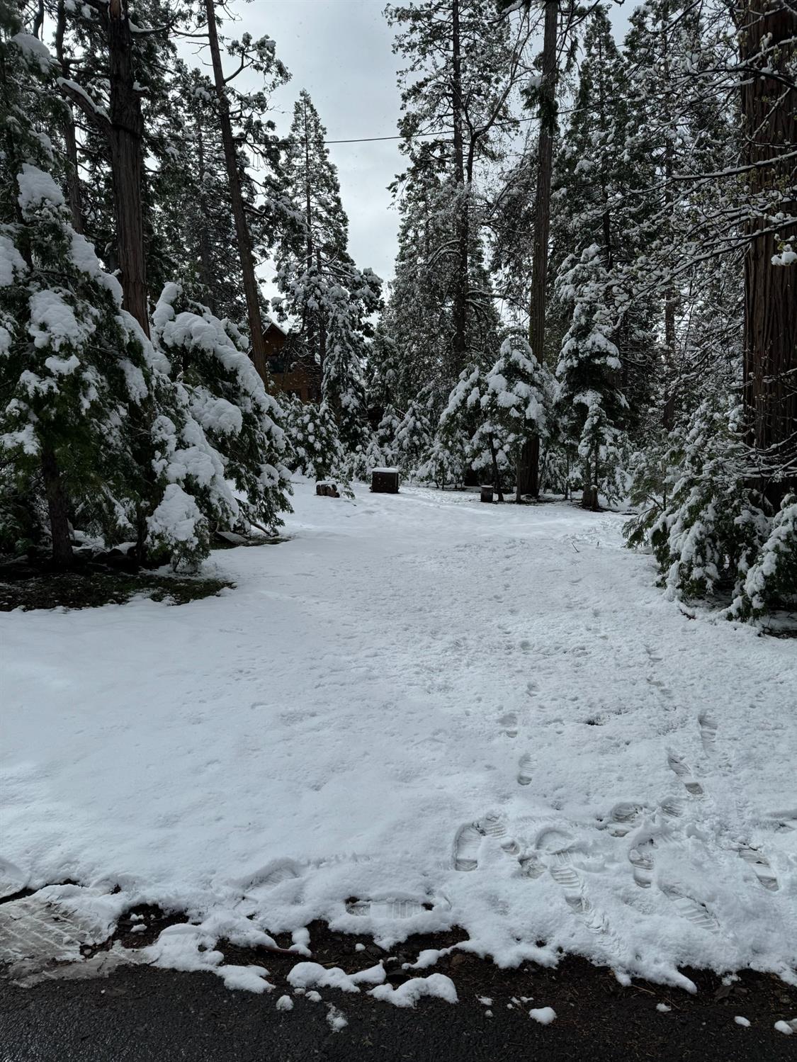 Sugar Pine Road, Twain Harte, California image 7