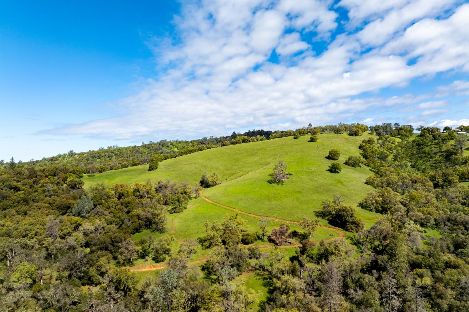 Detail Gallery Image 5 of 50 For 12786 Perimeter Rd, Grass Valley,  CA 95949 - – Beds | – Baths