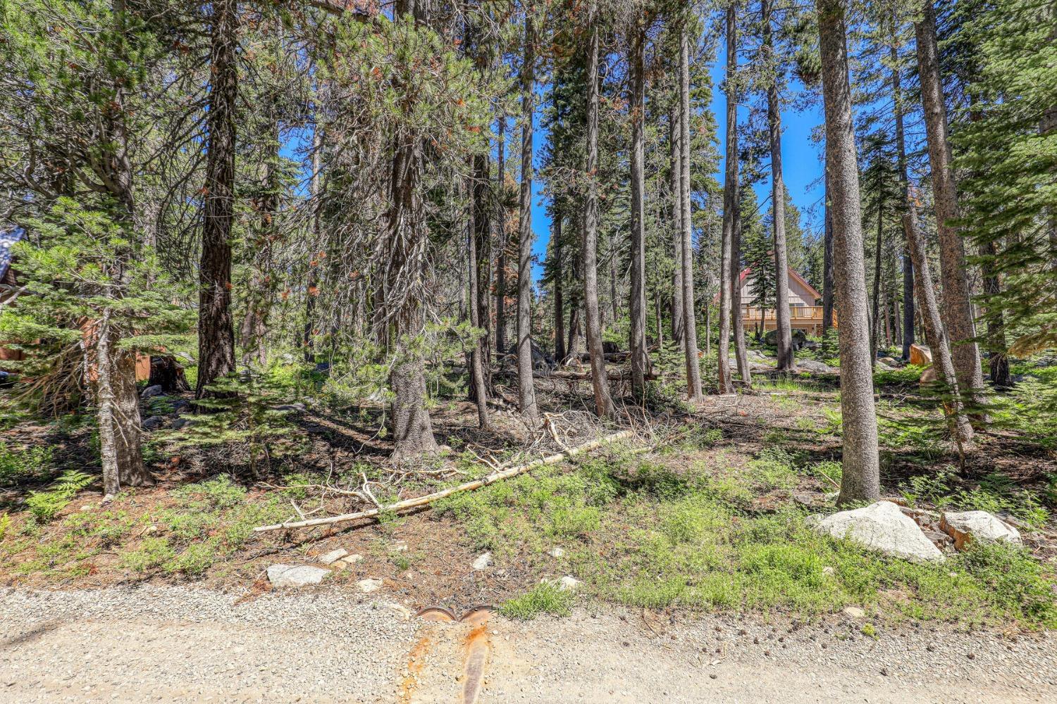 Comstock Ranch Rd., Sonora, California image 2