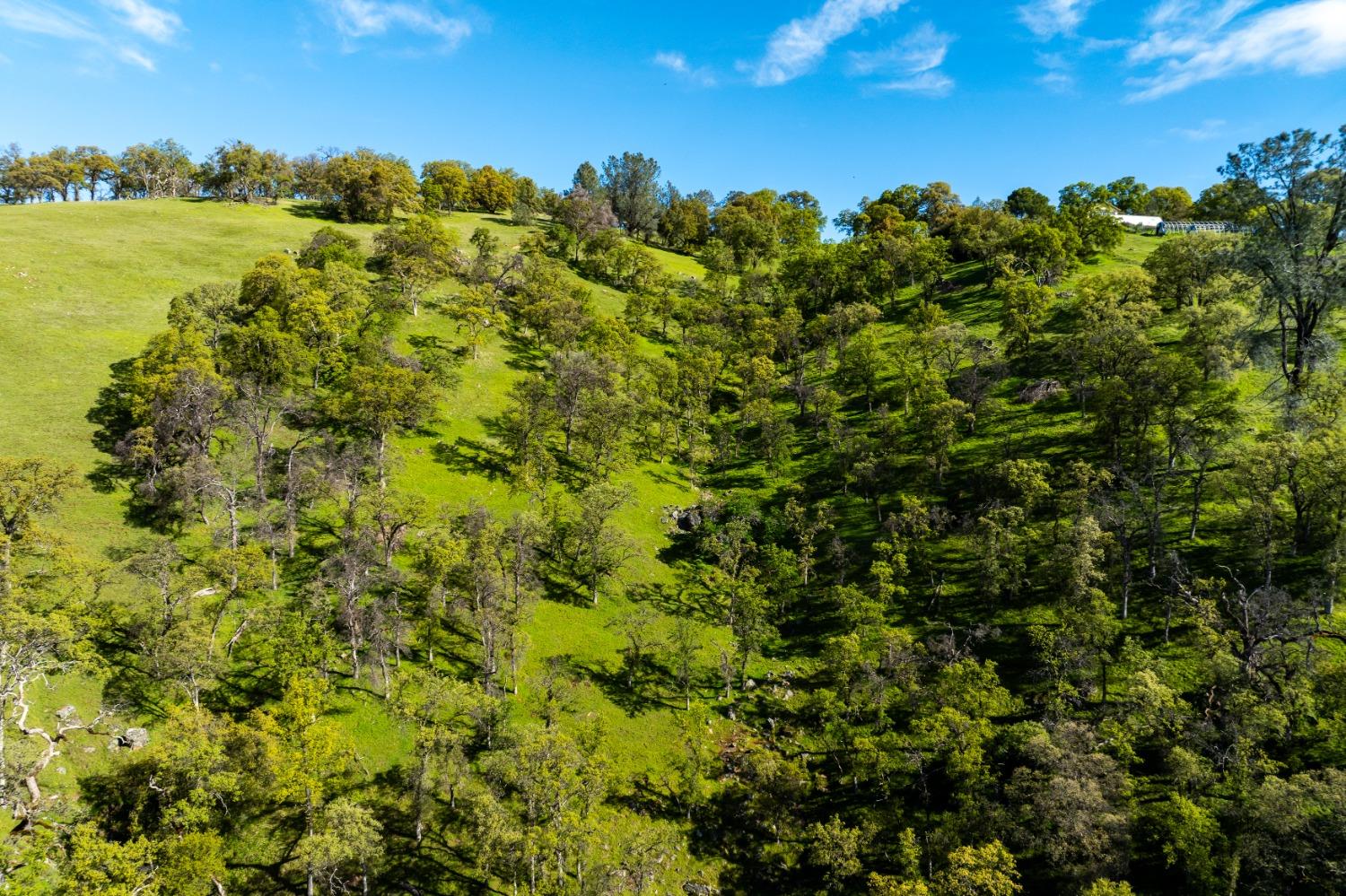 Detail Gallery Image 44 of 50 For 12786 Perimeter Rd, Grass Valley,  CA 95949 - – Beds | – Baths