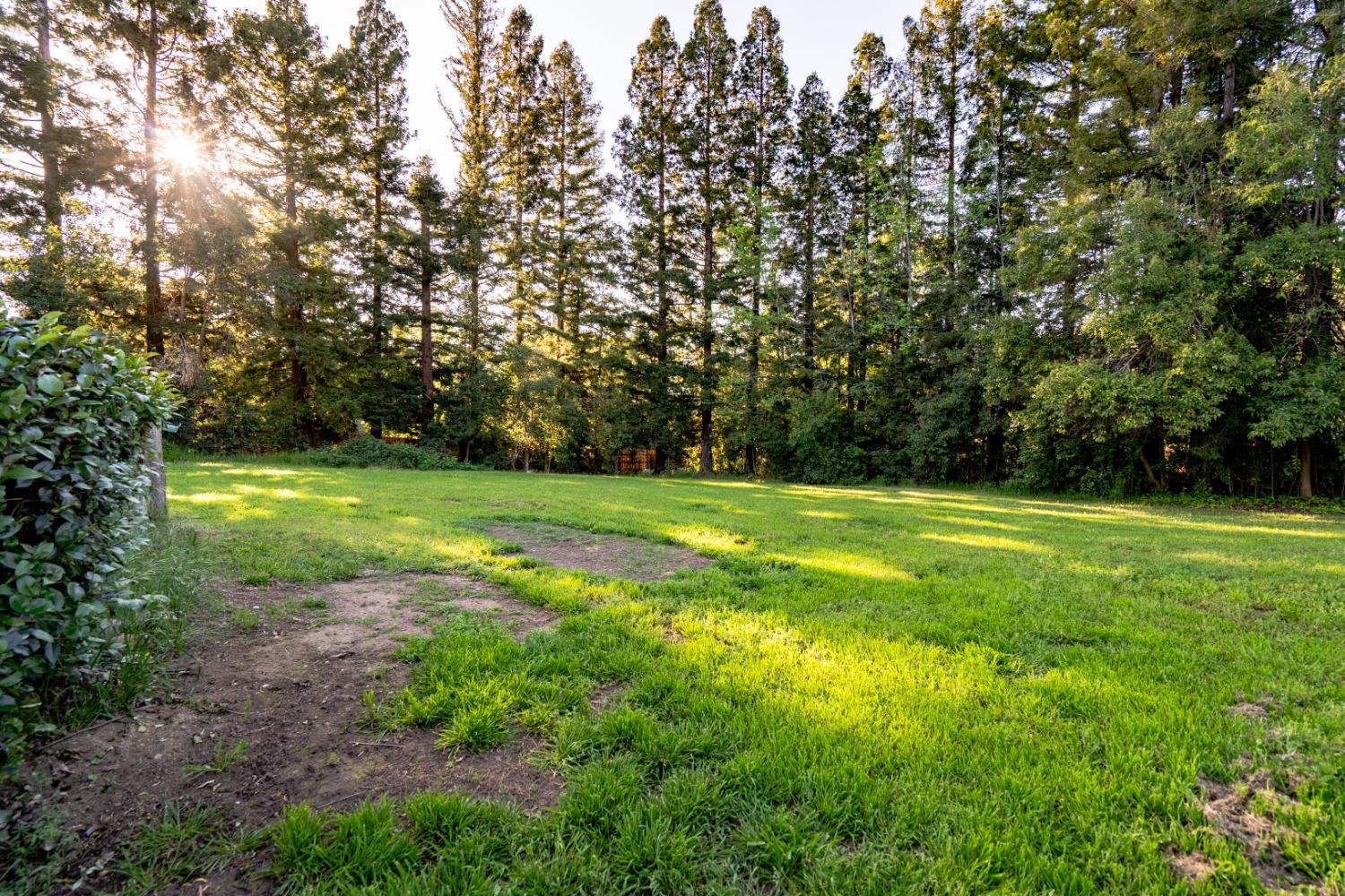 Fair Oaks Boulevard, Fair Oaks, CA, 95628-6908
