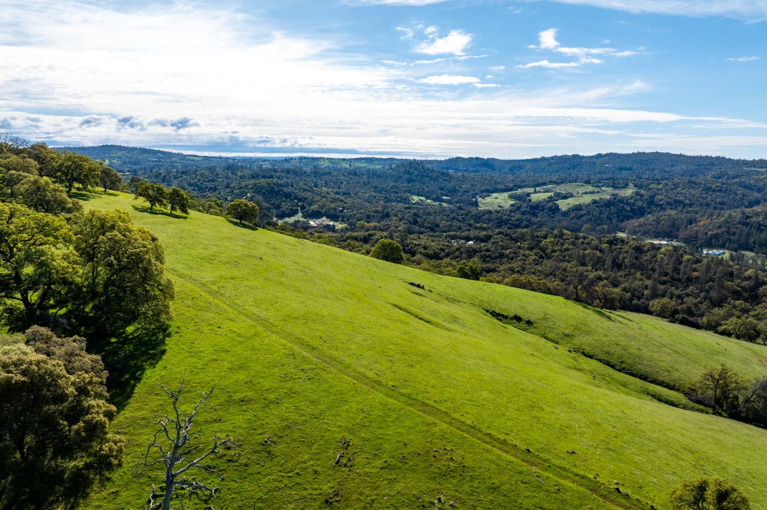 Detail Gallery Image 9 of 50 For 12786 Perimeter Rd, Grass Valley,  CA 95949 - – Beds | – Baths