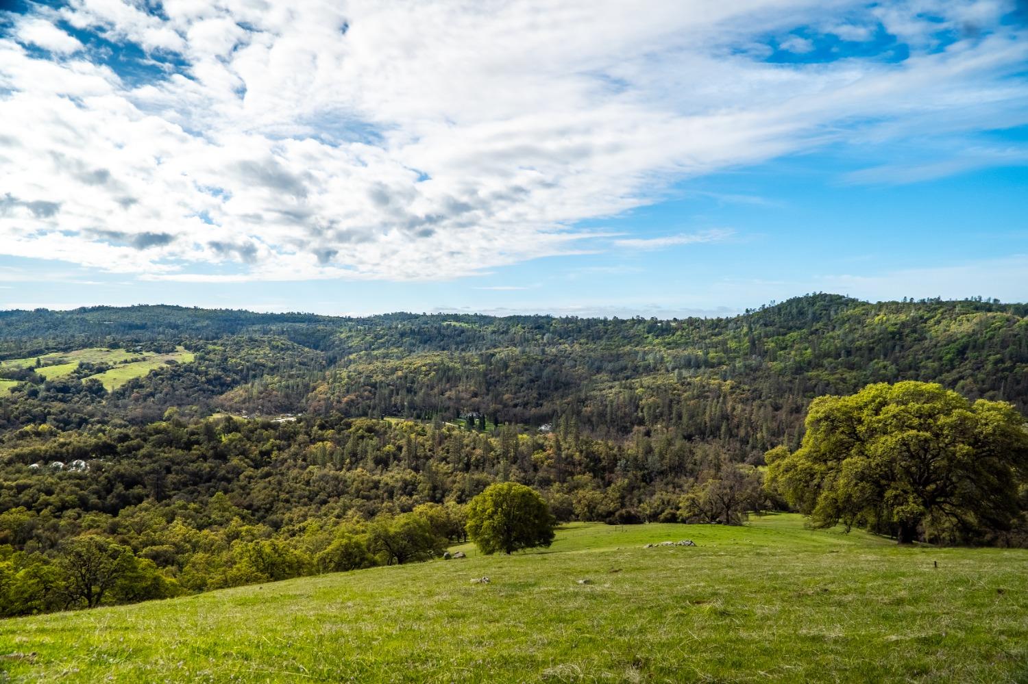 Detail Gallery Image 37 of 50 For 12786 Perimeter Rd, Grass Valley,  CA 95949 - – Beds | – Baths