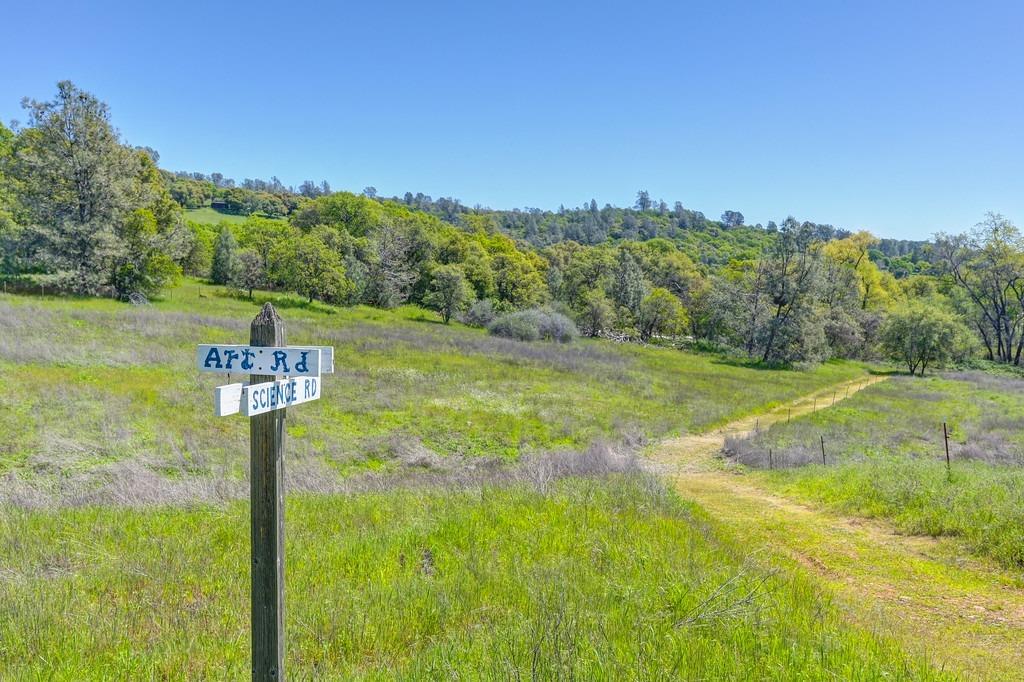 Art Road, Pilot Hill, California image 6