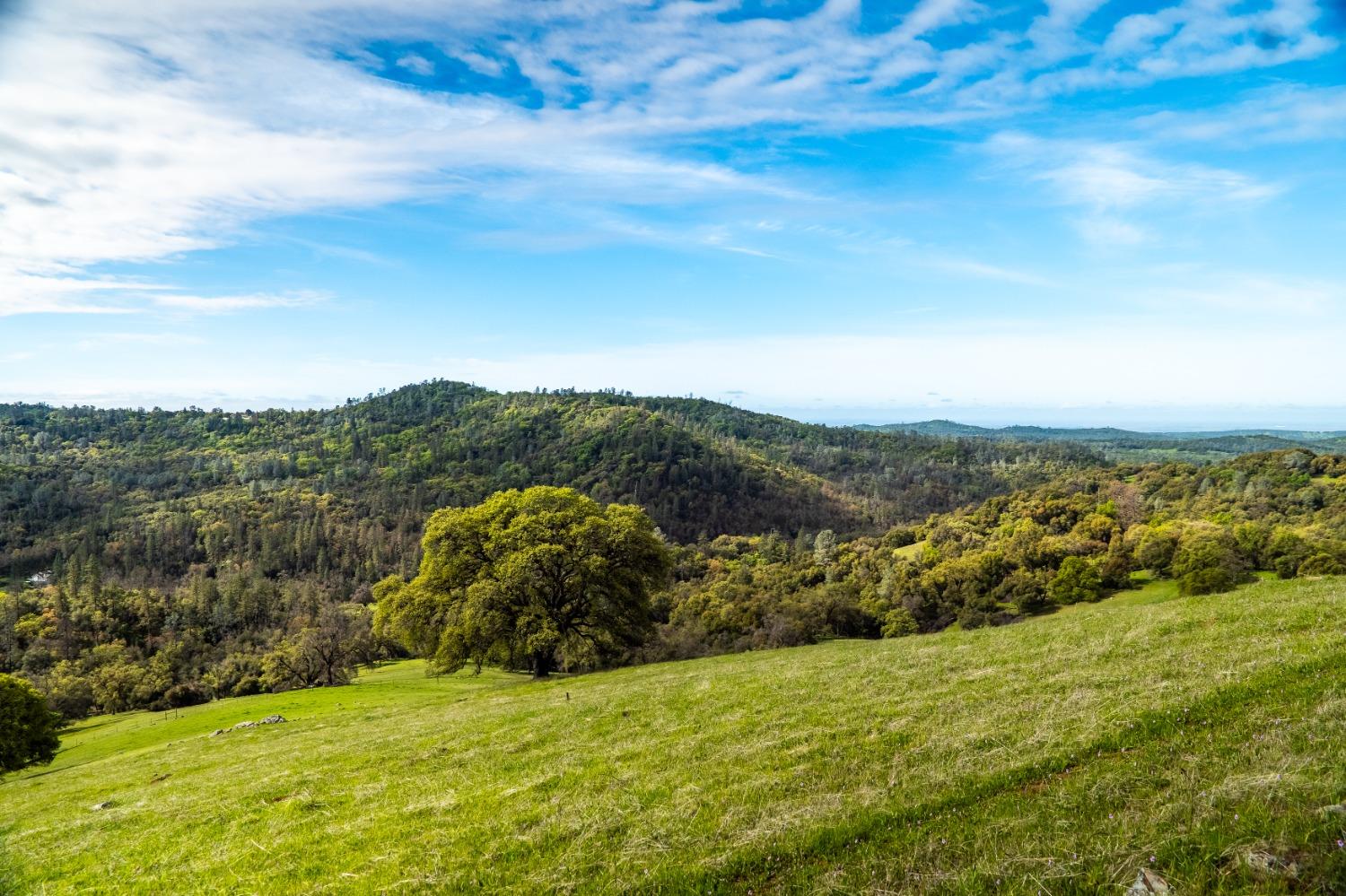 Detail Gallery Image 12 of 50 For 12786 Perimeter Rd, Grass Valley,  CA 95949 - – Beds | – Baths