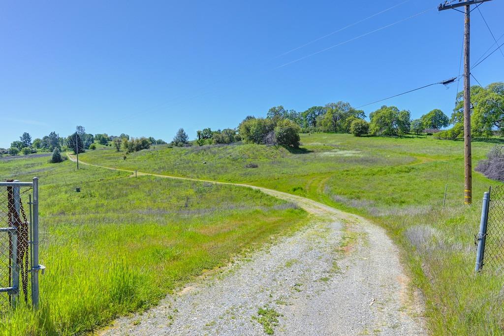 Art Road, Pilot Hill, California image 8