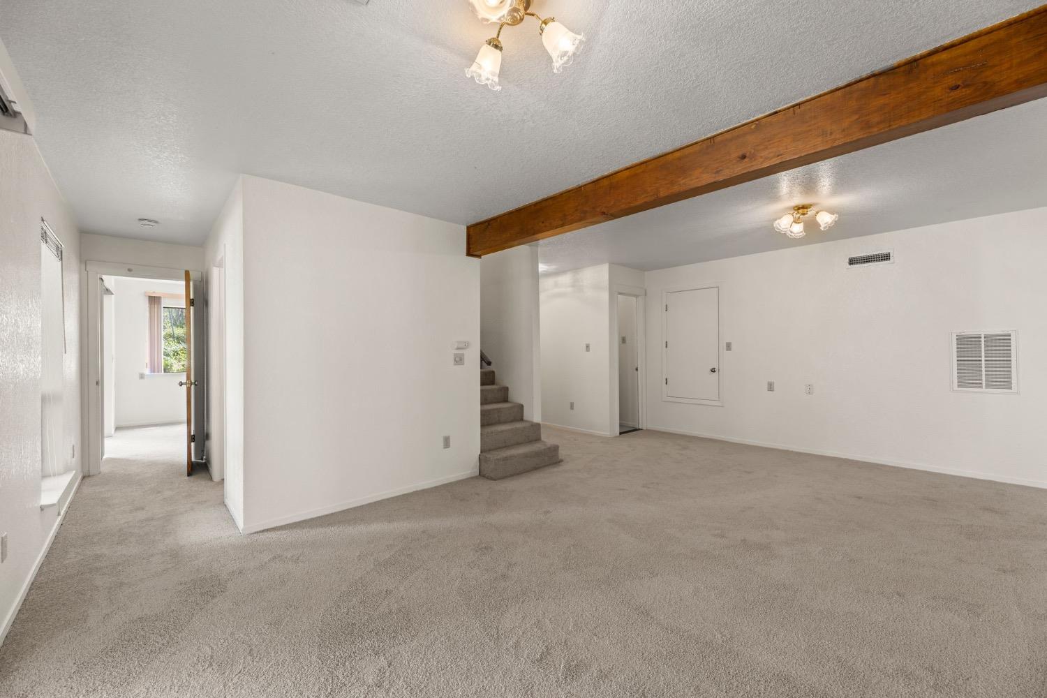 Detail Gallery Image 35 of 54 For 3021 Sweet Birch Ln, Camino,  CA 95709 - 3 Beds | 2/1 Baths