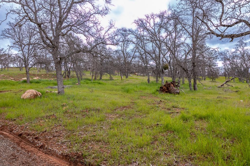 Arbolada Drive, La Grange, California image 9