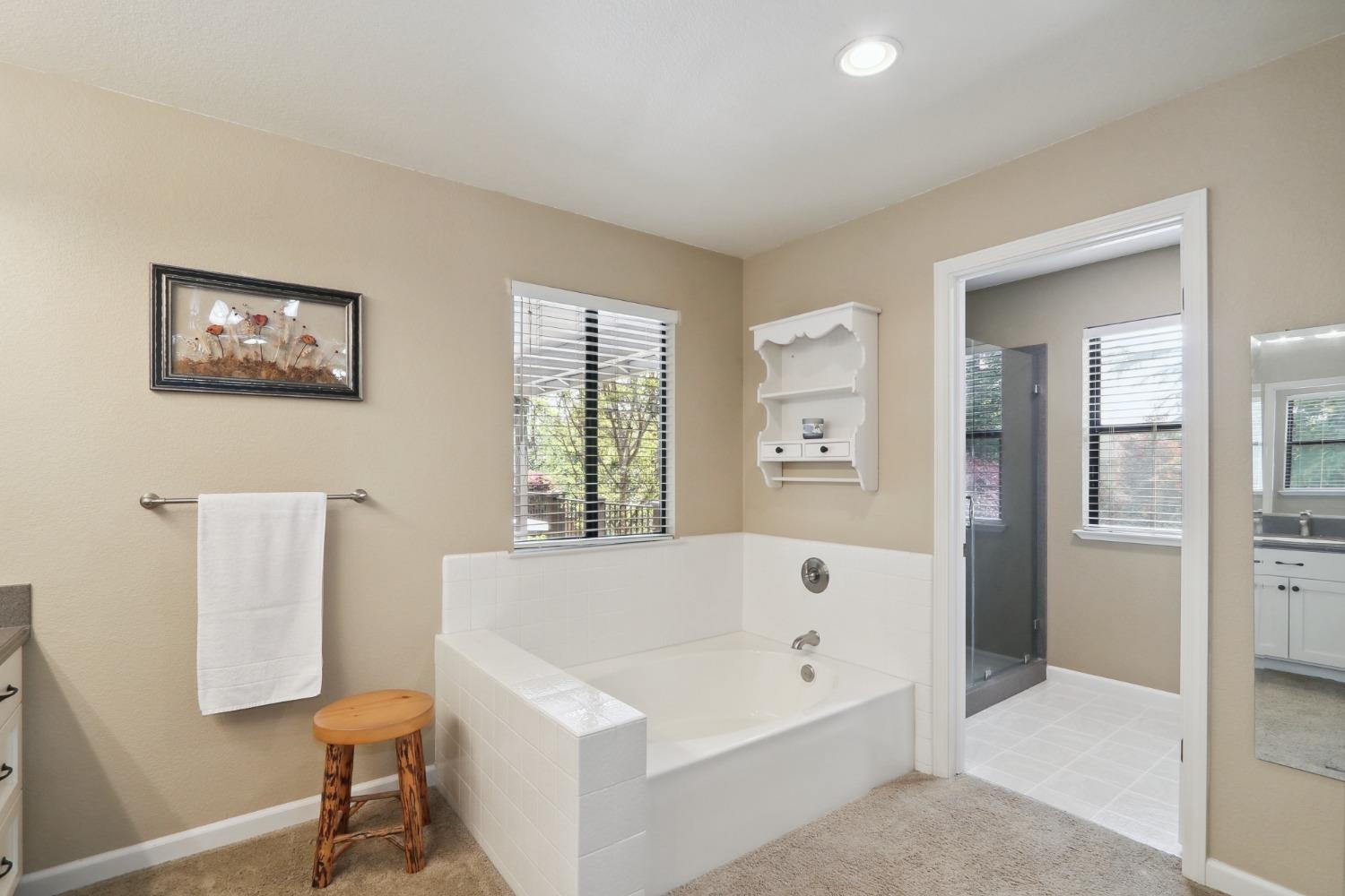 Detail Gallery Image 29 of 47 For 10080 Snowy Owl Way, Auburn,  CA 95603 - 4 Beds | 2/1 Baths