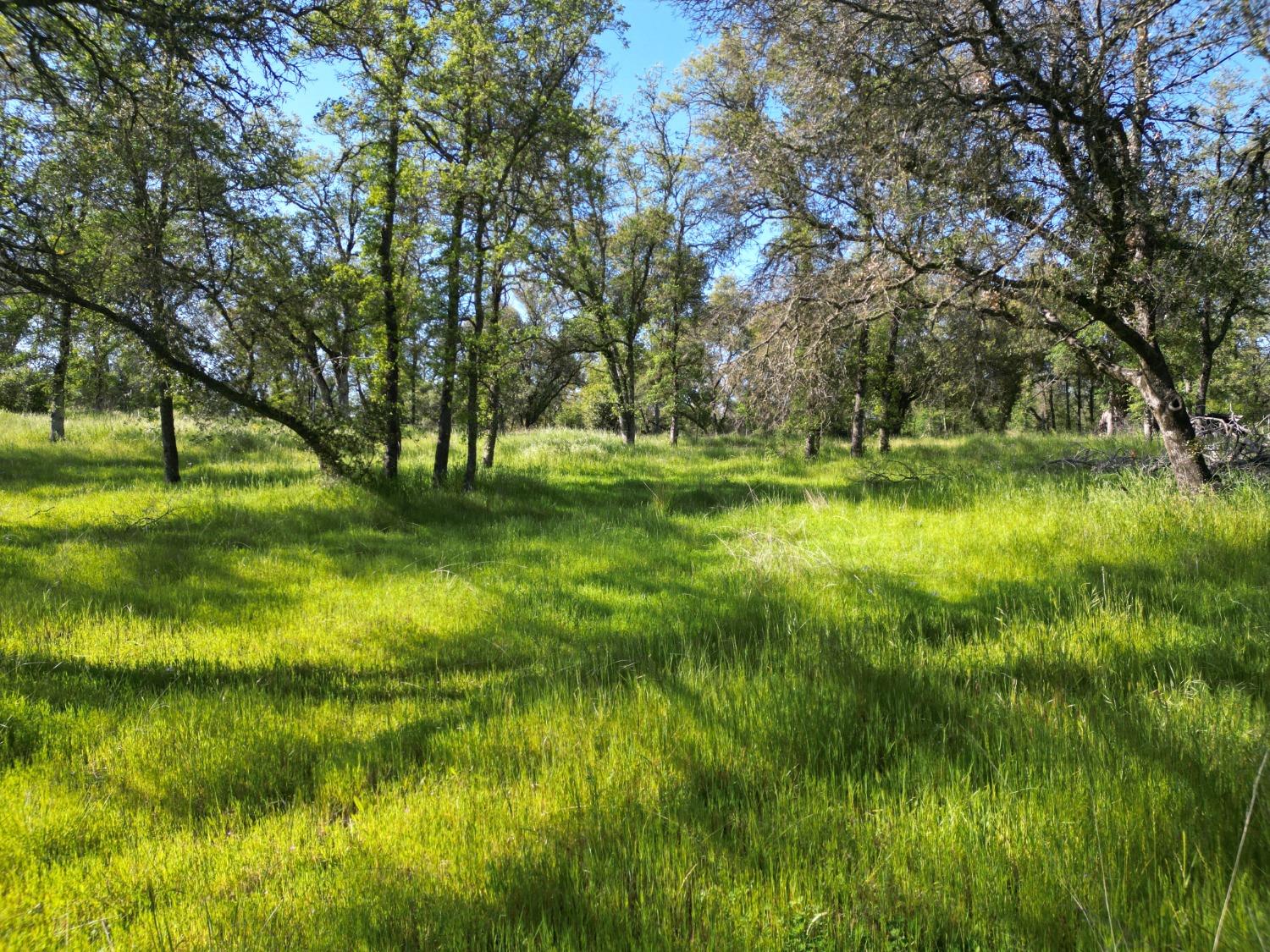 Detail Gallery Image 11 of 28 For 39 Sandstone Ln, Browns Valley,  CA 95918 - – Beds | – Baths