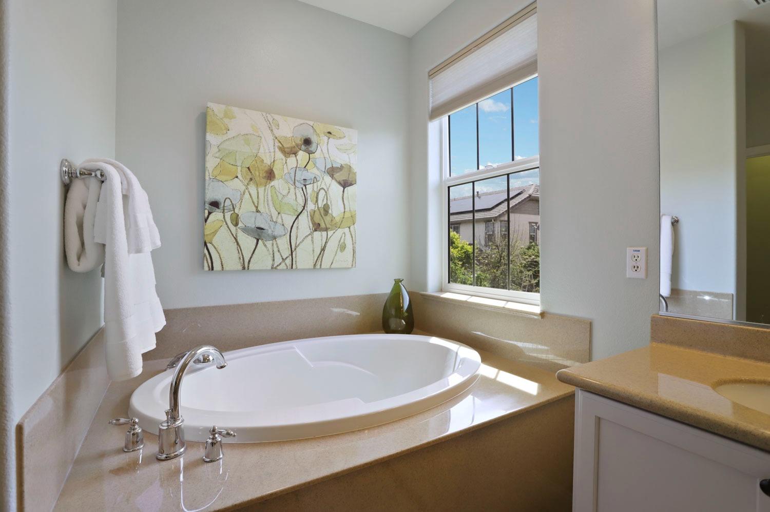 Detail Gallery Image 39 of 58 For 223 S Vista Hermosa St, Mountain House,  CA 95391 - 4 Beds | 2/1 Baths